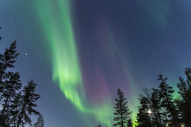 Aurora boreale nel cielo notturno
