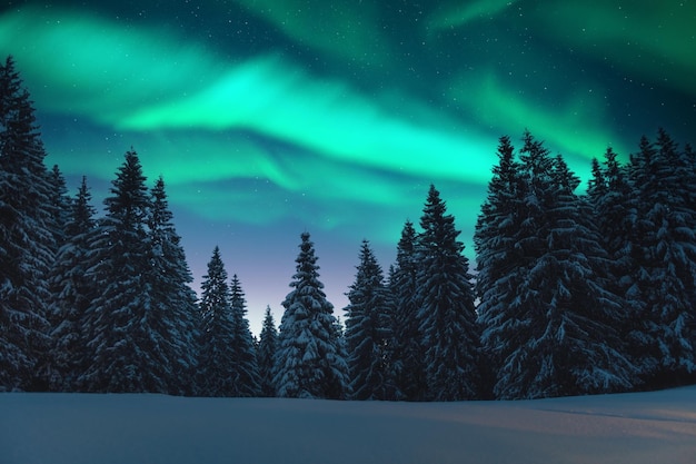 Aurora borealis Northern lights in winter forest Sky with polar lights and stars Night winter landscape with aurora and pine tree forest Travel concept