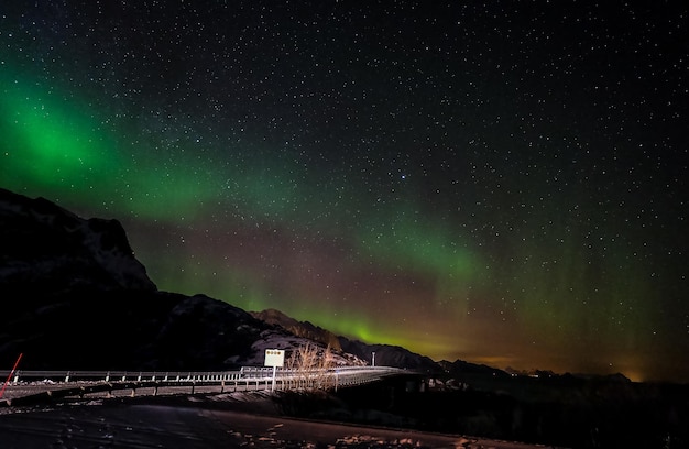 Aurora borealis over donker de bergen op de Lofoten-eilanden