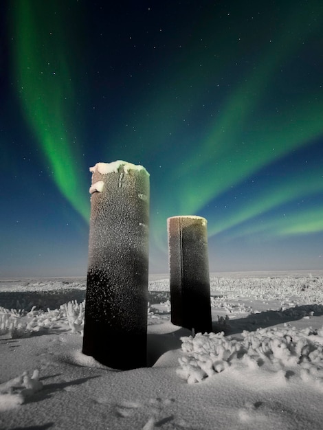 Aurora borealis and pillars in the tundra