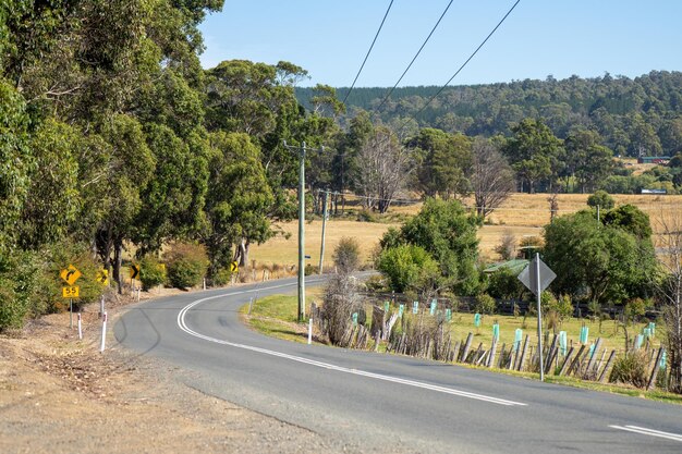 Photo australia road in the country in summer