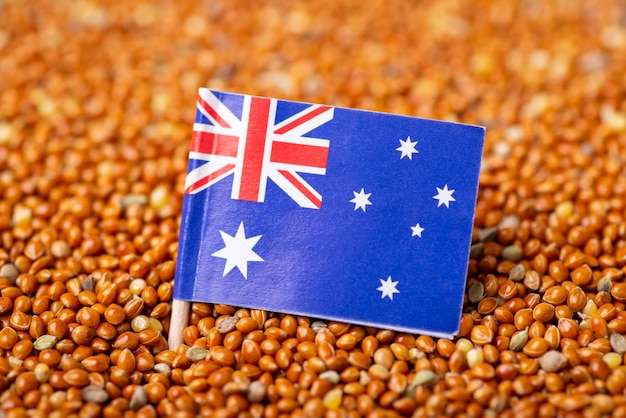 껍질을 벗기지 않은 기장 곡물에 호주 국기