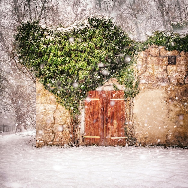 austria cold cold day photo