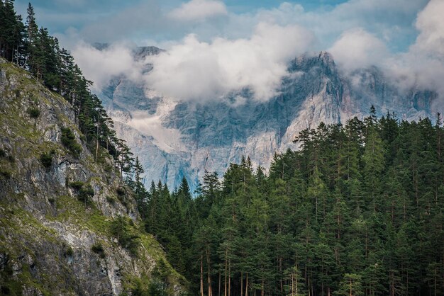 Austrian Alps Scenic Vista with Woodland