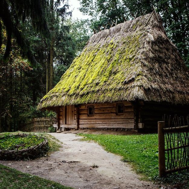 Authentic Ukrainian wooden houses with thatched straw roof