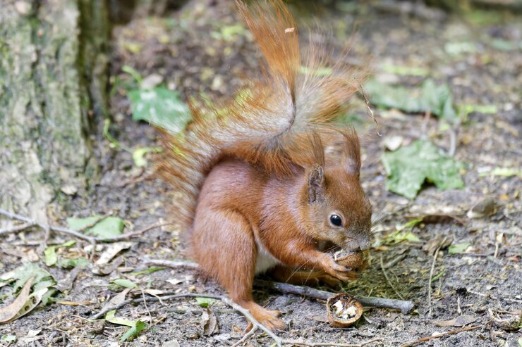 Foto authentieke en unieke echte foto's die een natuurlijk moment vastleggen met verbazingwekkende helderheid en oprechte emoties