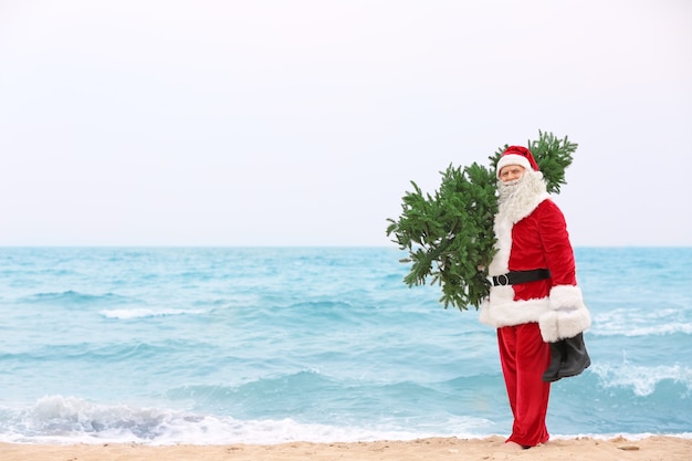 Authentieke kerstman met kerstboom op strand