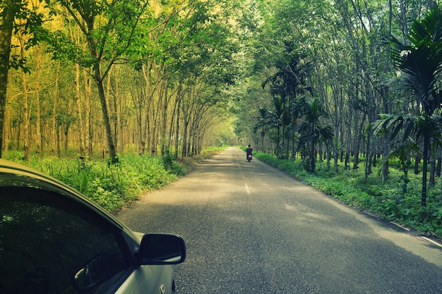 Auto en motocycle reizen op groene rubber plantage route