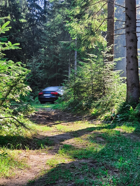 Auto geparkeerd bij het bos zomer reizen