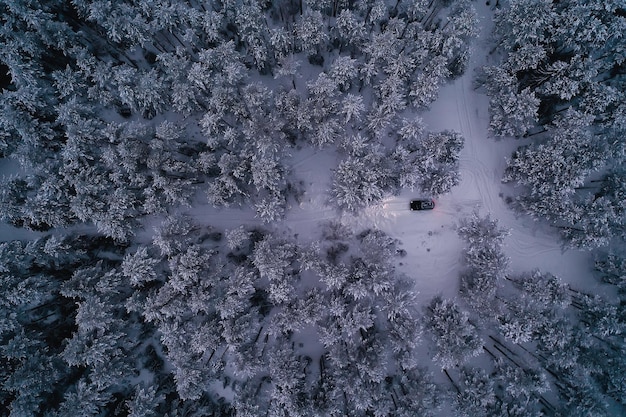 auto in winterbos, landschapsreizen in besneeuwd kerstbos