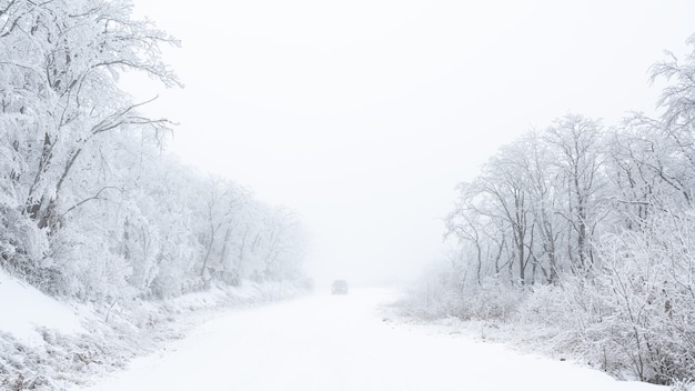 Auto op besneeuwde mistige weg in winterbos