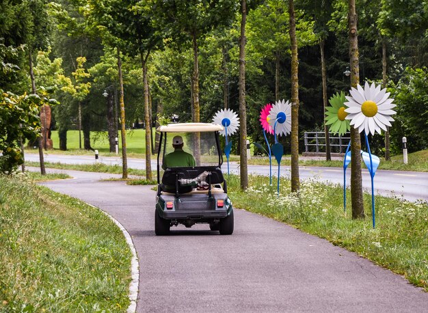 Foto auto op de weg tegen bomen