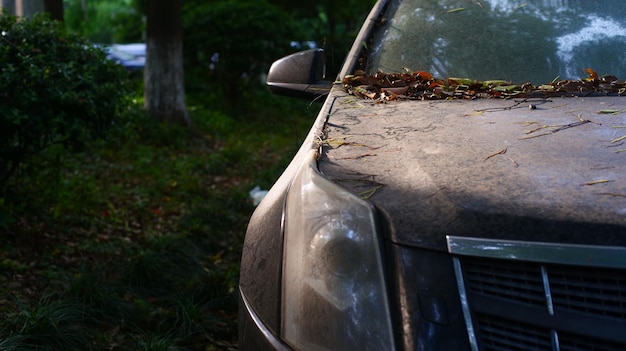 Foto auto op het veld.