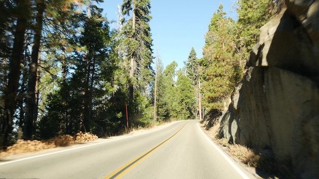 Auto rijden in sequoia bos, perspectief uitzicht vanuit de auto. Grote sequoia naaldbomen en rijbaan in de buurt van Kings Canyon. Roadtrip in nationaal park van Noord-Californië, VS. Liftend op reis.