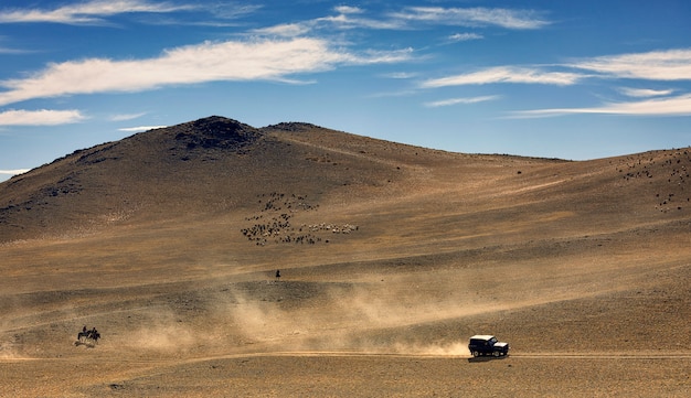 Auto rijdt op de weg. Veel stof. De kudde schapen en geiten graast in de woestijn bij de bergen. Mongolië. Altai gebergte. Azië