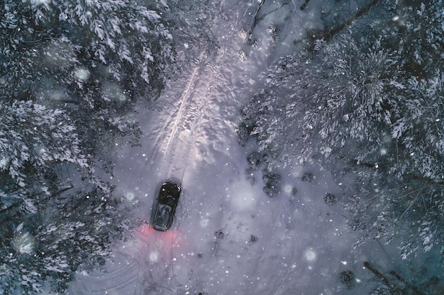 auto 's avonds bos in de winter, bovenaanzicht, copter, aero foto, landschap winterbos