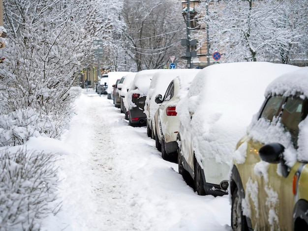 Auto's bedekt met sneeuwbomen in de sneeuw