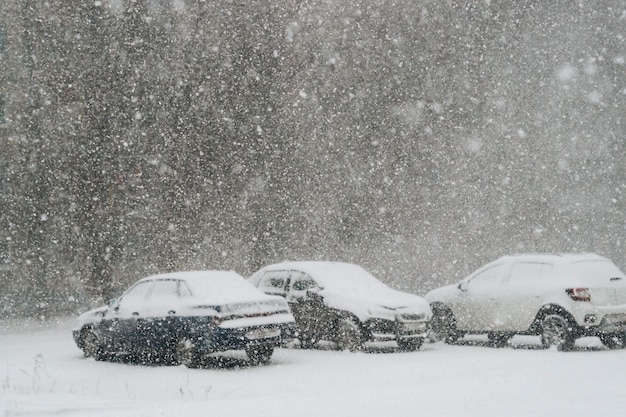 Auto's op straat bedekt met verse sneeuw