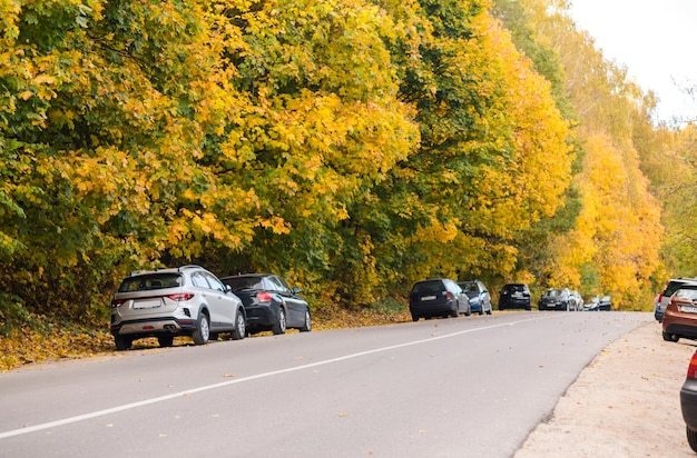 Auto's staan geparkeerd langs de kant van de weg rond de herfstgele bomen minsk wit-rusland oktober