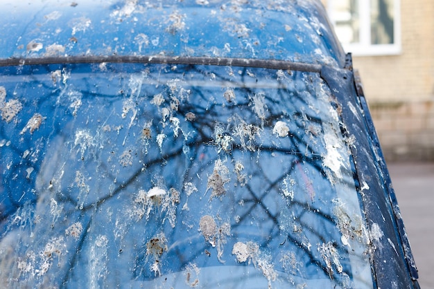 Autoglas gekleurd met vogelpoep