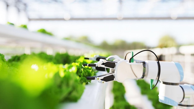 Automated hydroponic farm run by robotic arms