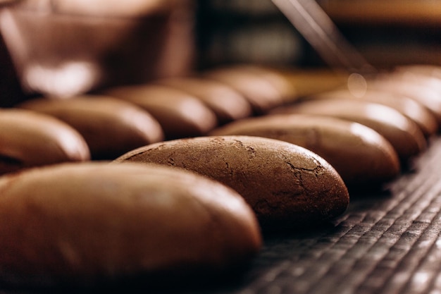 Automatic bakery production line with sweet cookies on conveyor belt equipment machinery in confectionary factory workshop industrial food production