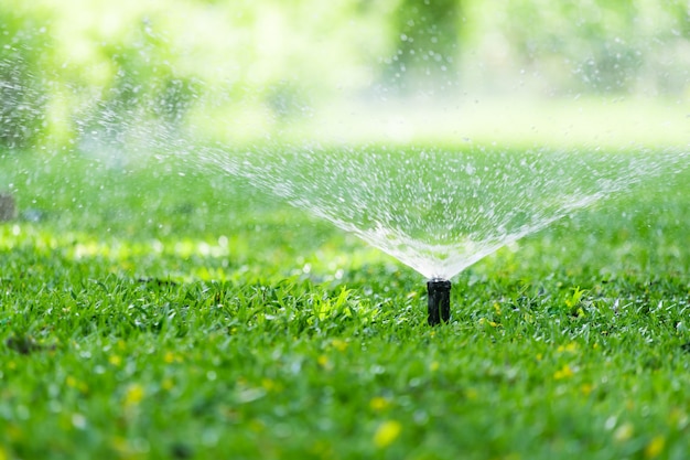 芝生に水をまくの自動庭の芝生のスプリンクラー