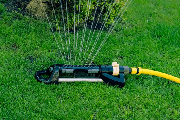 Automatic sprinkler on a green lawn