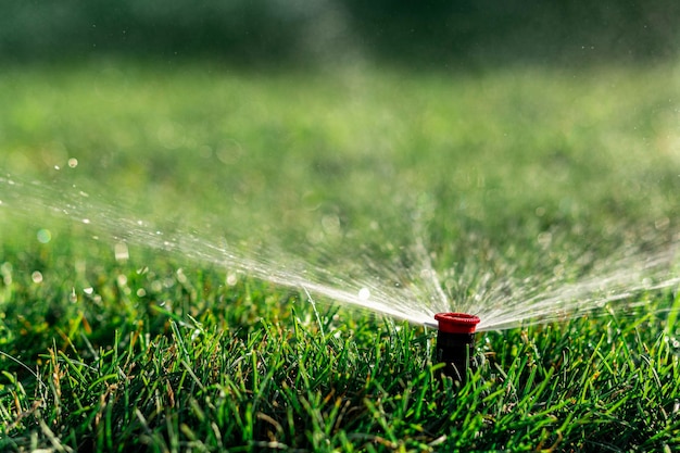 Automatic sprinkler lawn watering system sprays water in a circle on the lawn on a summer day