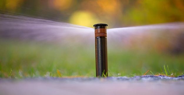 Automatic sprinkler system watering the lawn close up