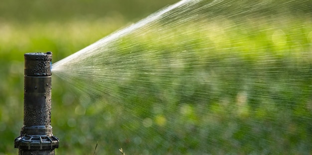 Automatic sprinkler system watering the lawn close up