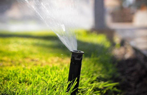 芝生に水をまく自動スプリンクラーシステム芝生の灌漑クローズアップ