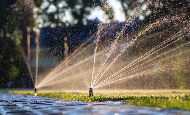 Premium Photo - Automatic sprinkler system watering the lawn. lawn irrigation in public park.