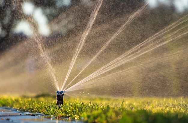 Sistema automatico di irrigazione che innaffia il prato