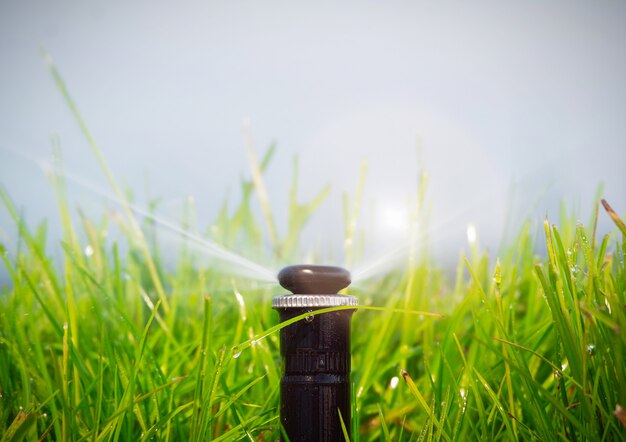 芝生に水をまく自動スプリンクラーシステム