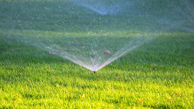 日光の下で市立公園の噴水のレクリエーションエリアにある装飾的な草に水をまく公園の芝生の自動散水