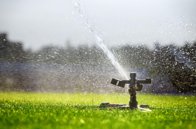 Il sistema di irrigazione automatico spruzza acqua sul prato irrigazione