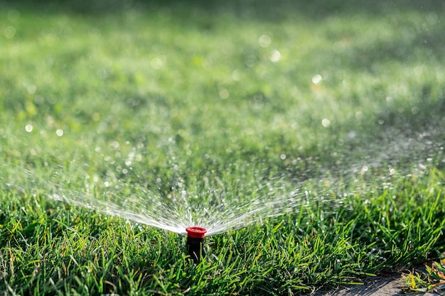 Automatisch sproeisysteem voor gazonsproeiers sproeit water in een cirkel op het gazon op een zomerdag