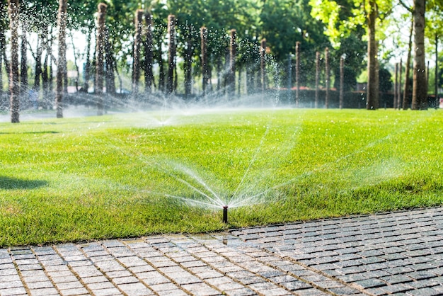 Automatische sproeiers voor het besproeien van gras. het gazon wordt in de zomer bewaterd. handig voor thuis