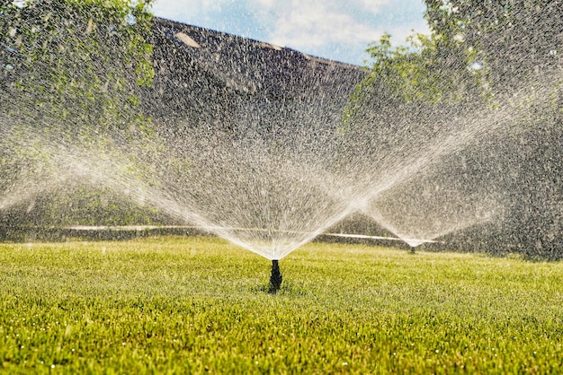 Automatische tuinsproeier Technologie voor het besproeien van de achtertuin voor groen gazon