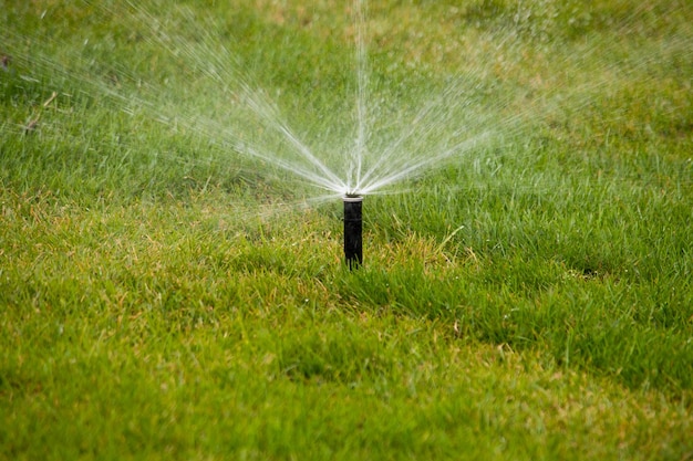 Automatische tuinsproeier Technologie voor het besproeien van de achtertuin