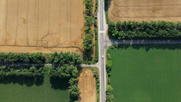 Automobiele asfaltweg met auto's die tussen landbouwgebieden rijden met geel gerijpte tarwe en