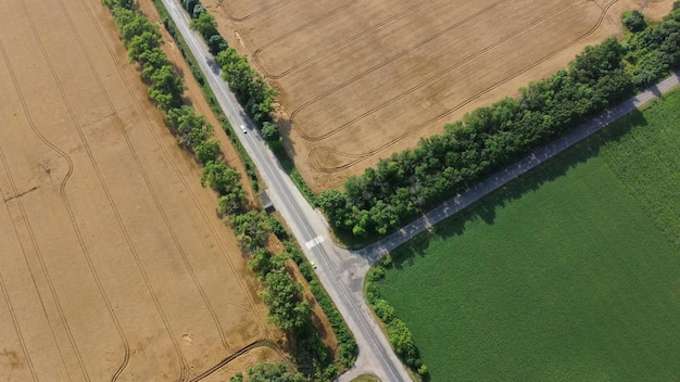 Automobile asphalt road with cars driving along it between agricultural fields with yellow ripened w