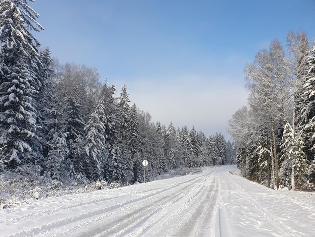 Automobile road through winter forest covered with snow