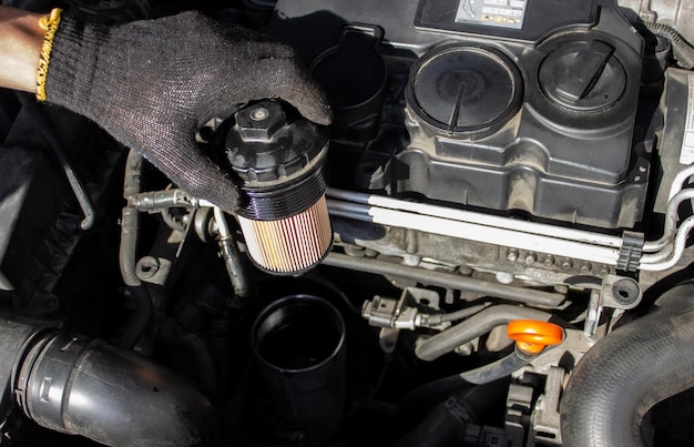 Automotoroliefilter vervangen Transmissie en onderhoud