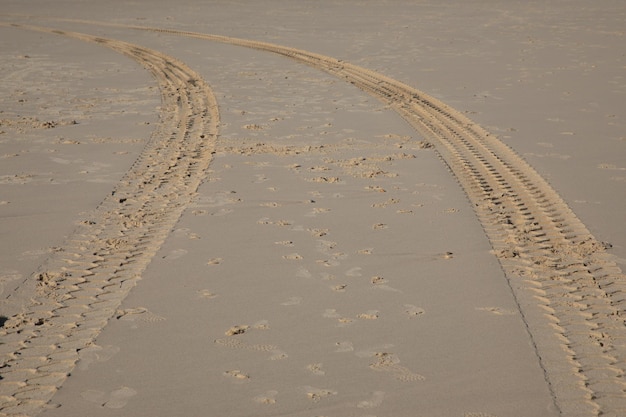 Autosporen in de zandwoestijn van het zandstrand bij eb