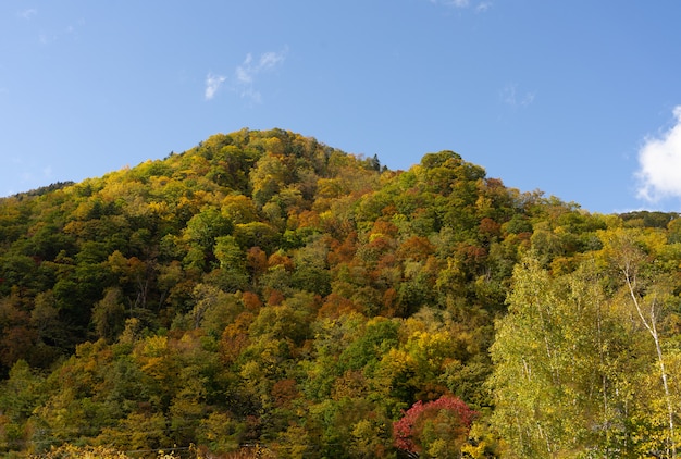 Autum landschap.