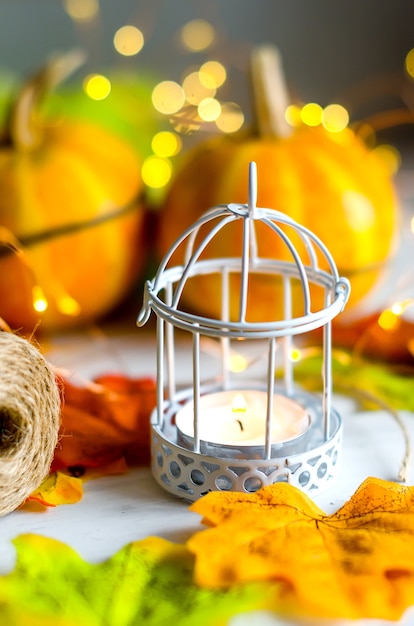 Autumn abstract still life with decorative mini pumpkins with fall dried leaves