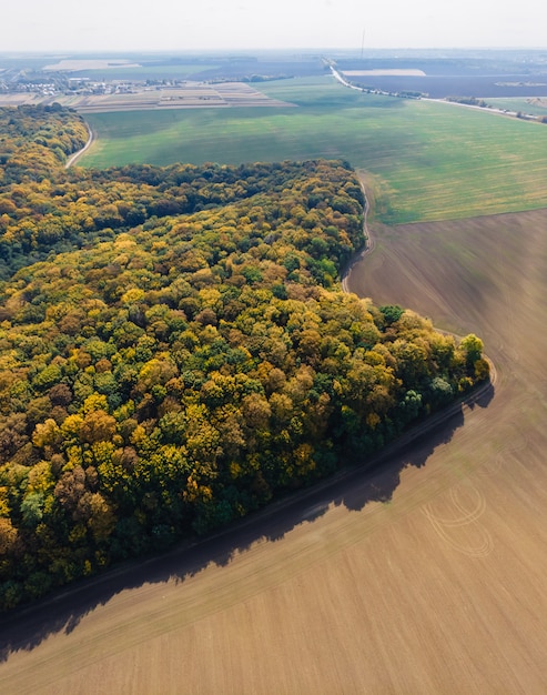 Autumn aerial drone countryside field and forest