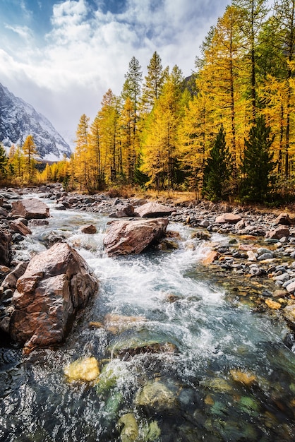 Autumn in the Aktru River Valley. Severo-Chuysky ridge, Altai Republic, Russia